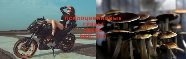 герыч Приозерск