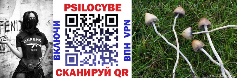 Купить закладки  Новомосковск  Галлюциногенные грибы Psilocybine cubensis 